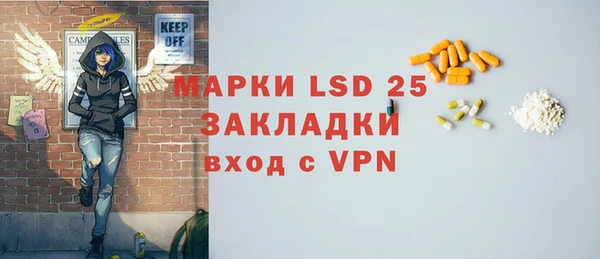 прущие грибы Пересвет