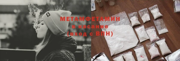 прущие грибы Пересвет
