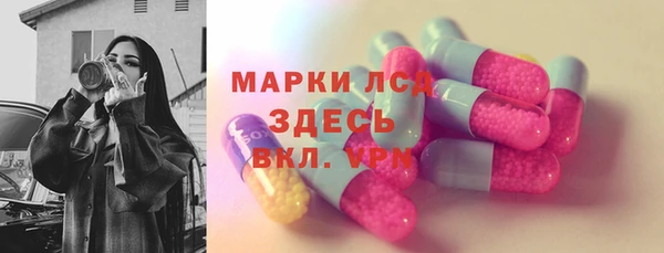 прущие грибы Пересвет
