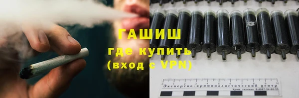 прущие грибы Пересвет