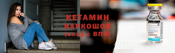прущие грибы Пересвет