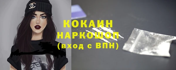 прущие грибы Пересвет