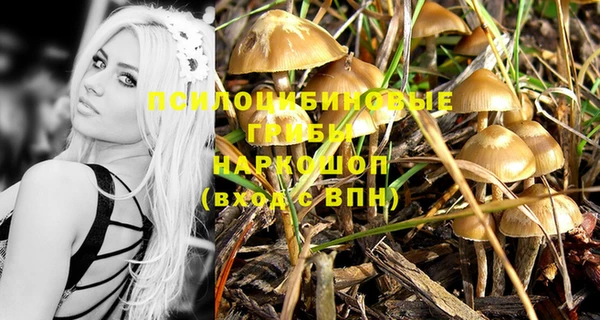 крисы Переславль-Залесский