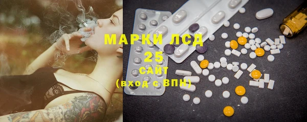 прущие грибы Пересвет