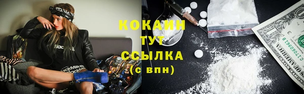 прущие грибы Пересвет